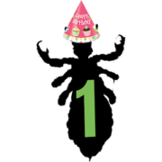 One Year
