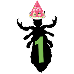 One Year
