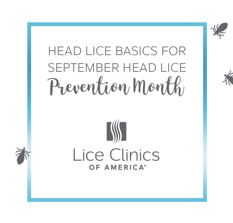1 Top 8 head lice questions and answers for September head lice prevention month at Lice Clinics of America - Portland