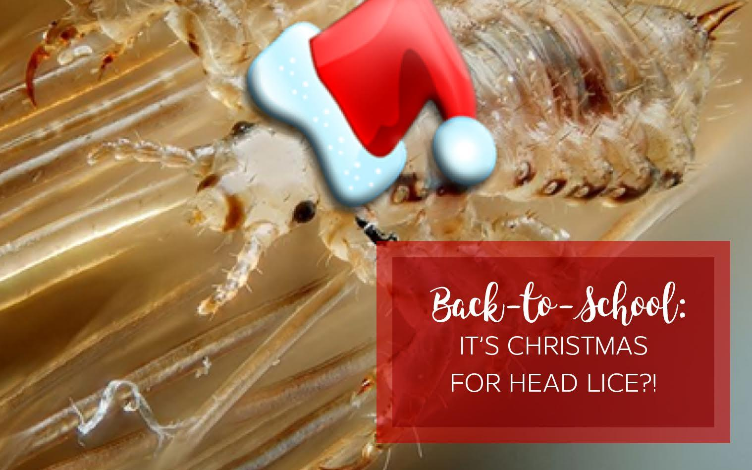 Untitled Lice infestation wearing a santa hat during the back to school season.